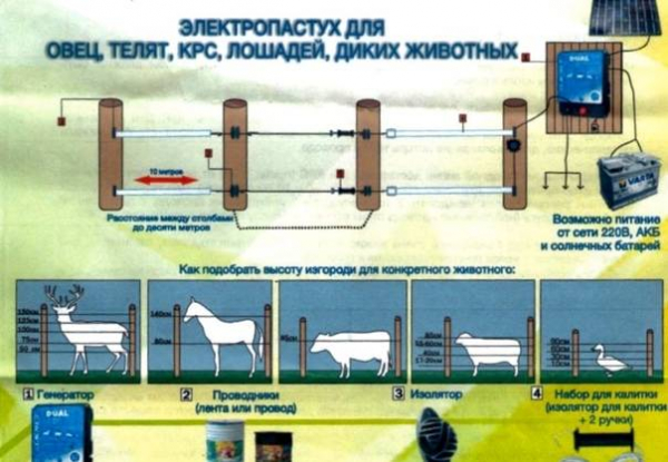 Генератор для электропастуха своими руками